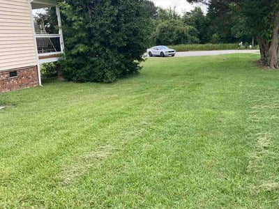 Lawn Care service in Black Mountain, 28711