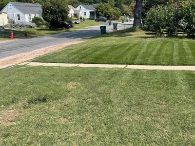Lawn Care service in Richmond, 23219