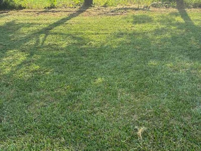 Lawn Care service in Ottawa, 61350