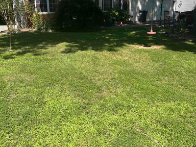 Lawn Care service in Woodbridge, 22191