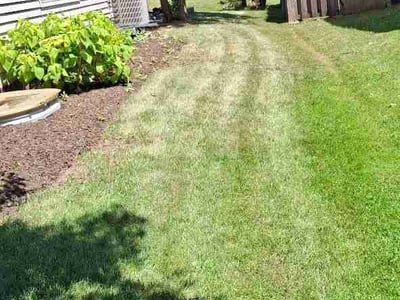 Lawn Care service in Huntley, 60142