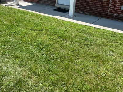 Lawn Care service in Huntley, 60142
