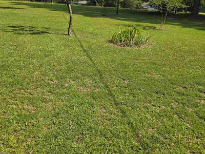 Lawn Care service in Maricopa, 85139