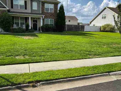 Lawn Care service in Maricopa, 85139