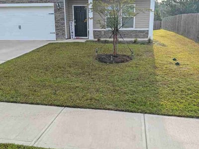Lawn Care service in Lugoff, 29078