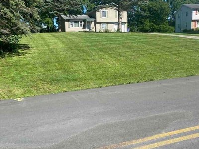 Lawn Care service in Victor, 14564