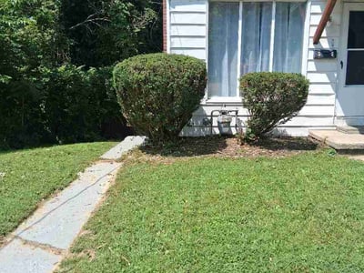 Lawn Care service in Lancaster, 93534