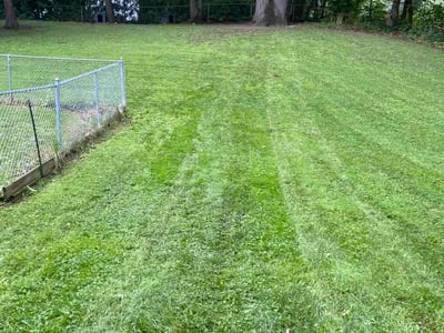 Lawn Care service in Victor, 14564
