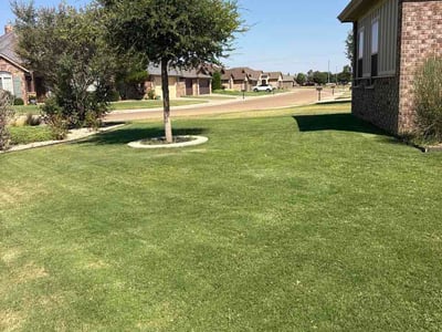 Lawn Care service in Odessa, 79761