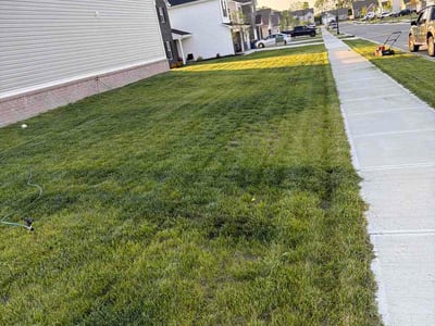 Lawn Care service in Lawrence, 46226