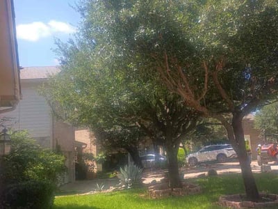 Lawn Care service in Granada Hills, 91344