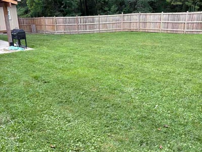 Lawn Care service in Hendersonville, 28792
