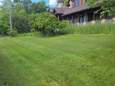 Lawn Care service in Fox Lake, 60020