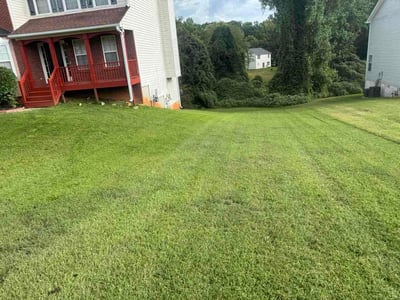 Lawn Care service in Bluefield, 24701