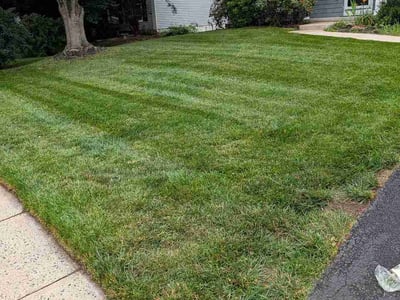 Lawn Care service in Herndon, 20170