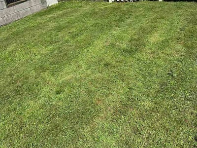 Lawn Care service in Winnetka, 60093