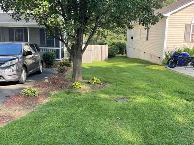 Lawn Care service in Henrico, 23294
