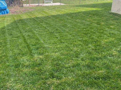 Lawn Care service in Midvale, 84047