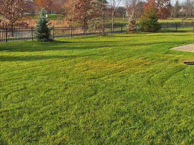 Lawn Care service in Zionsville, 46077