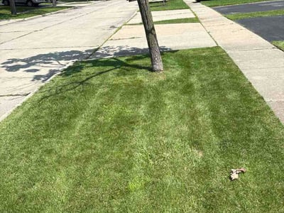 Lawn Care service in Mundelein, 60060