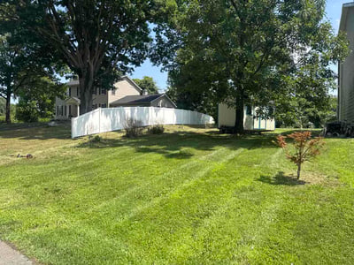 Lawn Care service in Albany, 12207