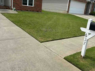 Lawn Care service in Grovetown, 30813