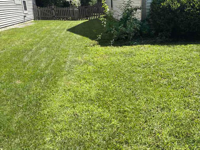 Lawn Care service in Carmel, 46032