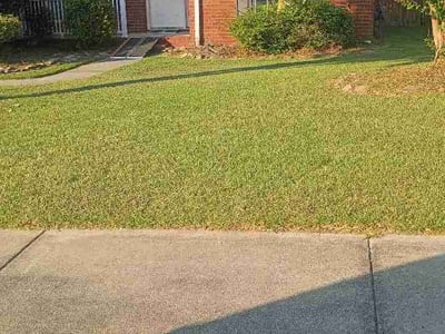 Lawn Care service in Grovetown, 30813