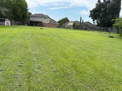 Lawn Care service in Sherman, 75090