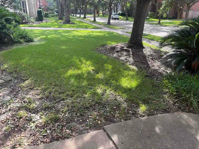 Lawn Care service in Sherman, 75090