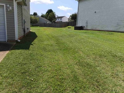 Lawn Care service in Fountain Inn, 29644