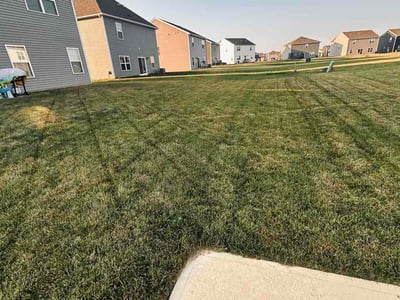Lawn Care service in Bristow, 20136