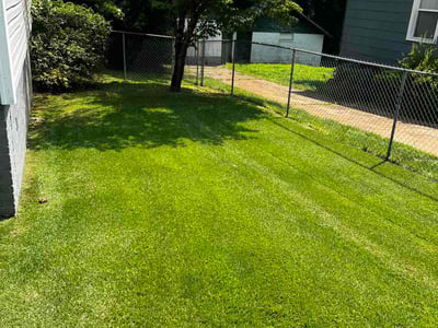 Lawn Care service in Williamston, 29697