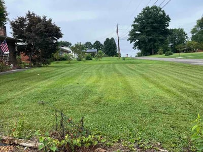 Lawn Care service in La Follette, 37766
