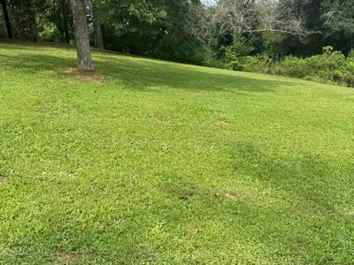 Lawn Care service in Anderson, 29624