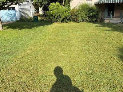 Lawn Care service in Bryant, 72022