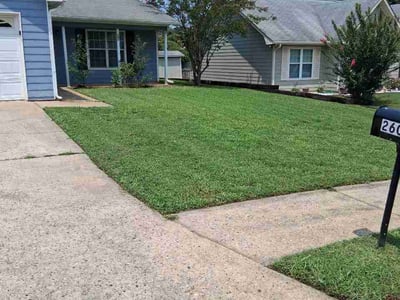 Lawn Care service in Chatsworth, 30705