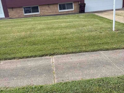 Lawn Care service in Dyer, 46311