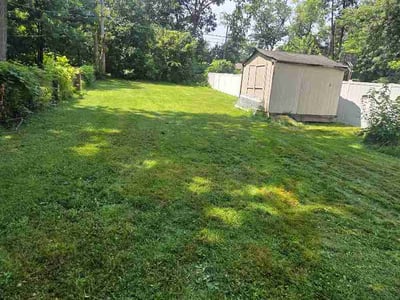 Lawn Care service in Elmhurst, 60126
