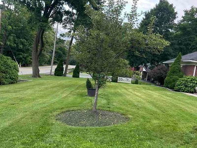 Lawn Care service in Bayside, 11361