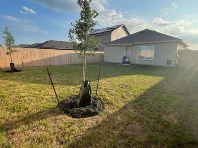 Lawn Care service in Bay Shore, 11706