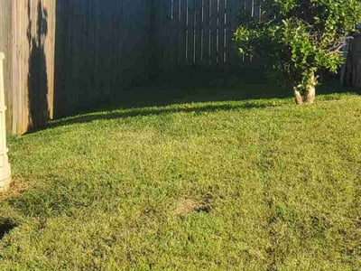 Lawn Care service in Bay Shore, 11706