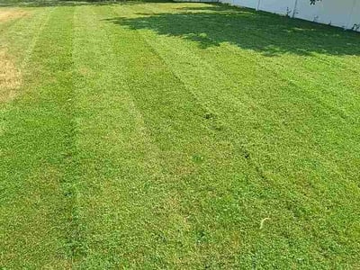 Lawn Care service in Sedro Woolley, 98284