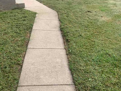 Lawn Care service in California City, 93505