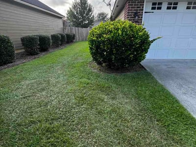 Lawn Care service in Saint Simons Island, 31522