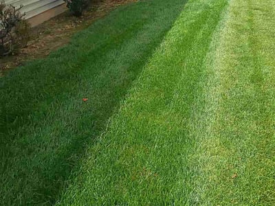 Lawn Care service in Travelers Rest, 29690