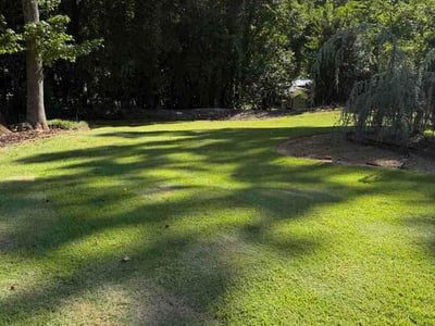 Lawn Care service in Travelers Rest, 29690