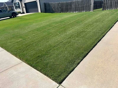 Lawn Care service in ,