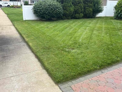 Lawn Care service in Wantagh, 11793