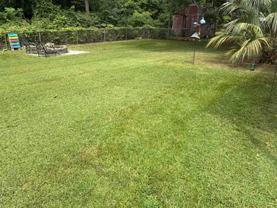 Lawn Care service in Leesville, 29070